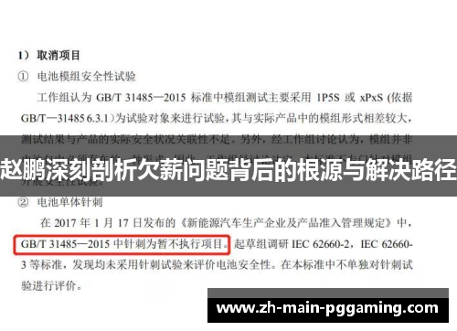 赵鹏深刻剖析欠薪问题背后的根源与解决路径