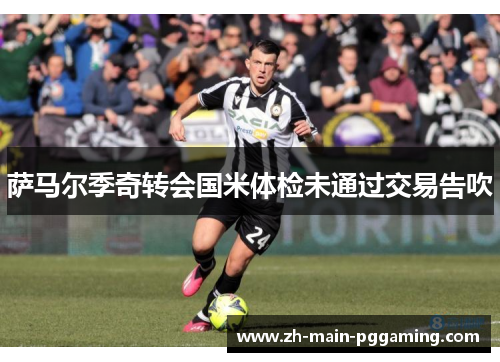 萨马尔季奇转会国米体检未通过交易告吹